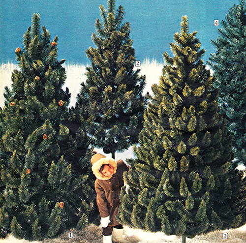 1968 Sears Catalog Artificial Christmas Tree